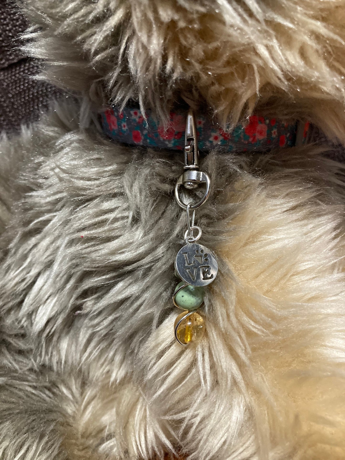 Dog and Cat Pet Collar Charm - Moonstone, Chrysoprase and Citrine Crystal for Healing, Calm & Positive Energy